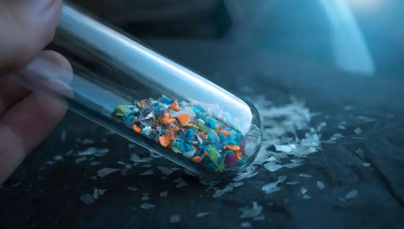 Mikroplastikler Beynimize Sızıyor: Geleceğimiz için Tehlikeli Sonuçlar