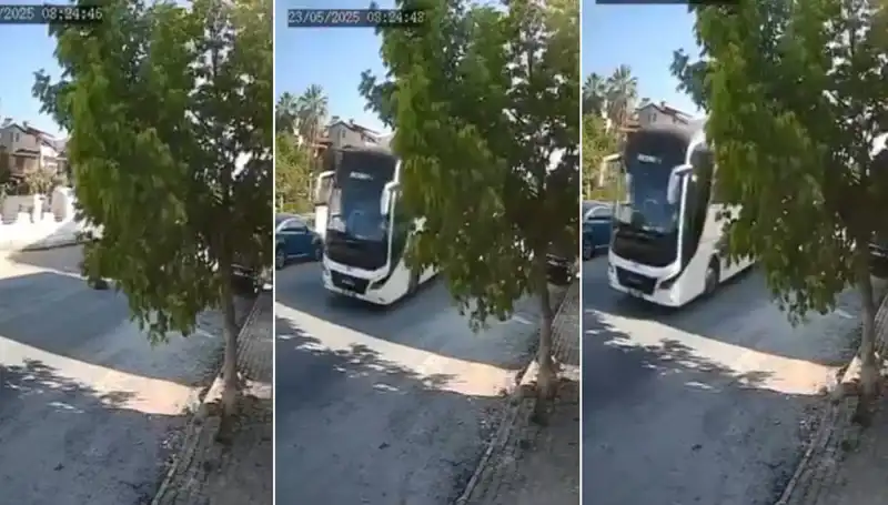 Yolda Yatan Köpeği Ezip Giden Sürücü Tepki Topladı