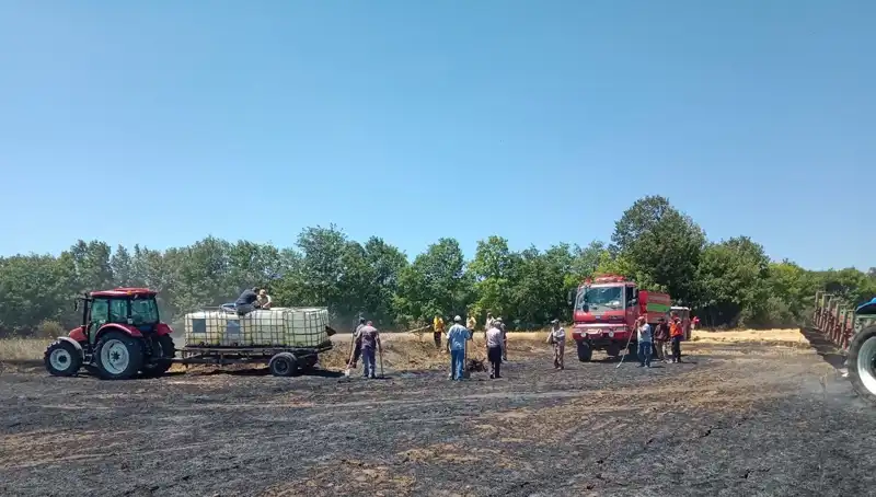 Buğday Tarlasında Çıkan Yangın: 10 Dönümlük Kayıp ve Sonrası