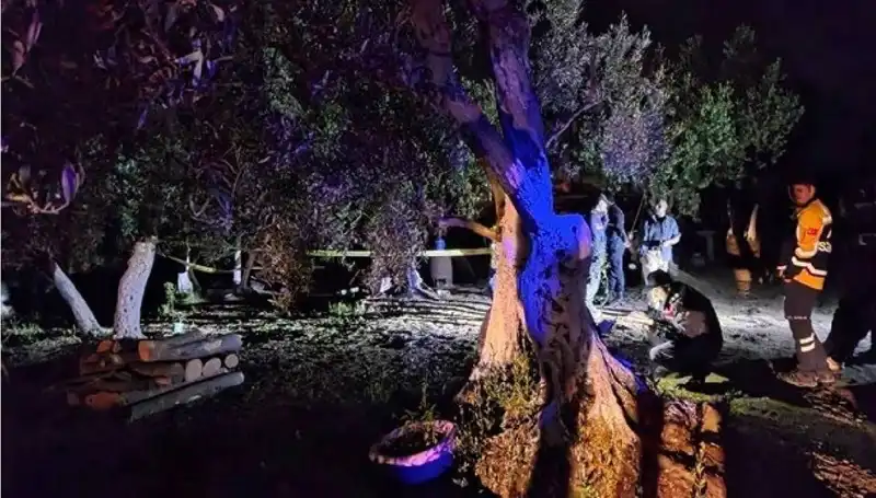 Çiftlikteki Baltalı Vahşet Olayı: Suçlu Yakalandı!