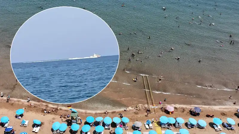 Plajda Köpek Balığı Paniği: Sahil Boşaltıldı, Gerçek Şok Edici!