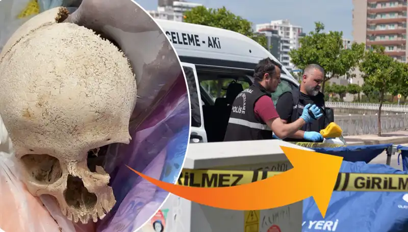 Sitenin Çöpünden Çıkan Kafatasının Şüpheli Sırları ve Gözaltına Alınan Uzman!