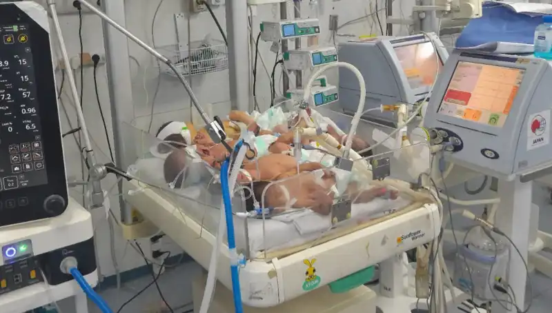 Gazzeli Doktorların Çaresizliği: "Birden Fazla Bebek Aynı Kuvözde Büyüyor"