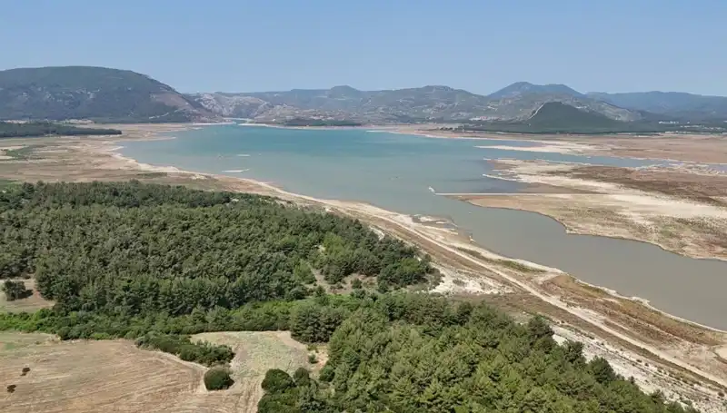 İzmir'de Tehlike Çanları Çalıyor: Yüzde 50 Düşüş Nedenleri ve Sonuçları