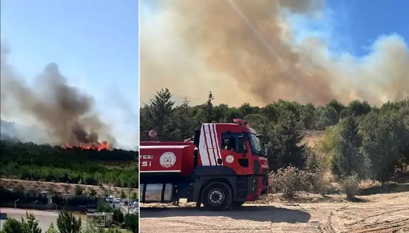 Gebze'de Orman Yangını: Doğayı Kül Eden Felaketin Ayrıntıları