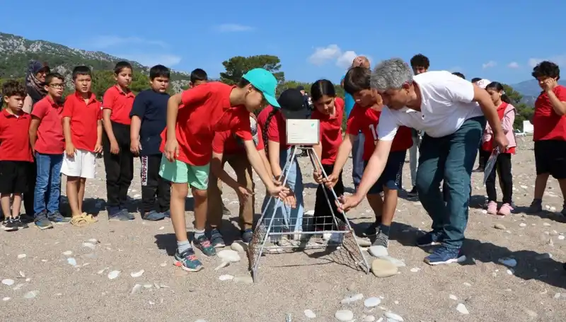 Kemer'de Caretta Caretta Koruma Yasakları Başladı: Deniz Tüm Gözleri Üzerinde