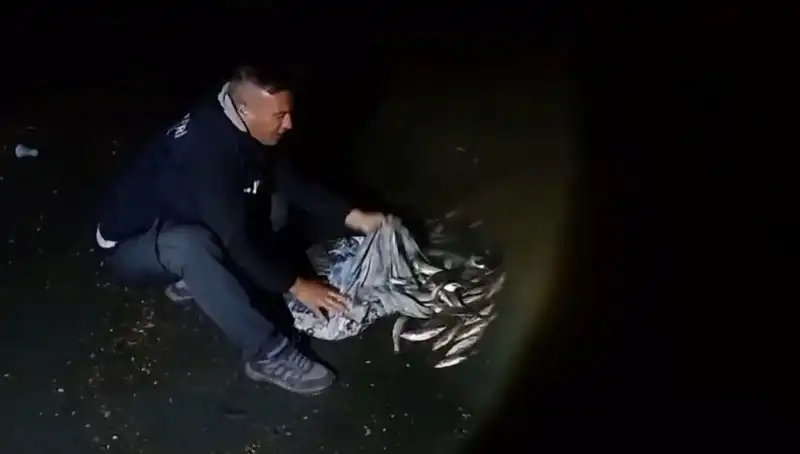 İnci Kefali Avında Rekor Kırıldı: 1 Ton Balık Ele Geçirildi!