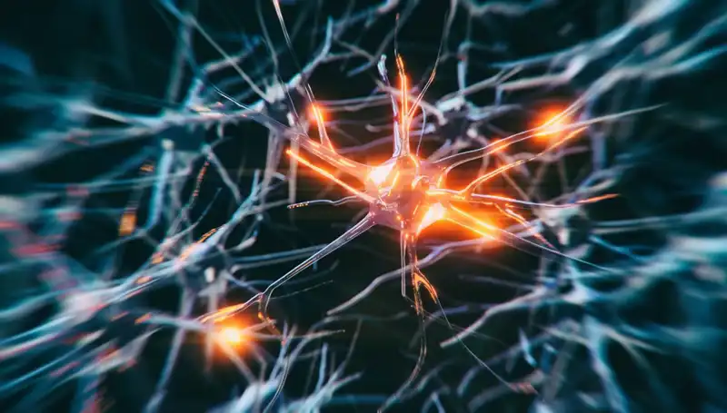 Alzheimer Vakalarının Artışı: Sebepler ve Çözüm Önerileri