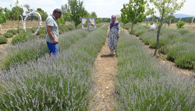 Hobi Sanatları ile Yaşamlarını Değiştirenler: Geçim Kaynağına Dönüşüm