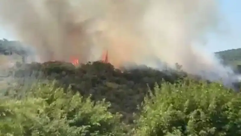İstanbul'da Orman Yangını: Vatandaşların Tahliyesi ve Etkileri