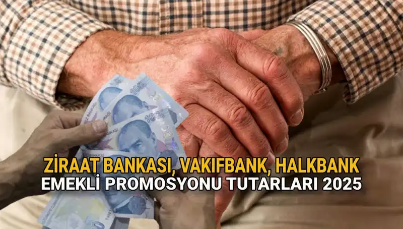 Emeklilere Özel Promosyonlar: 2025'te Kamu Bankaları Ne Sunuyor?