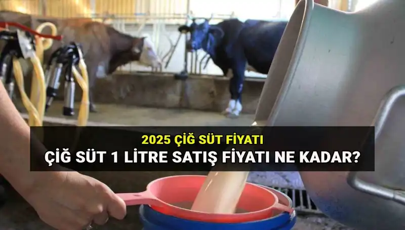 2025'te Çiğ Süt Fiyatları: Ulusal Süt Konseyi'nden Şaşırtıcı Veriler!