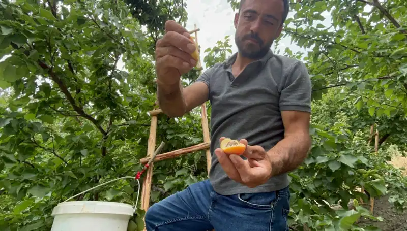 Tadı Damağınızda Kalacak: 50 TL ile 70 TL Arasındaki Bu Lezzetleri Kaçırmayın!