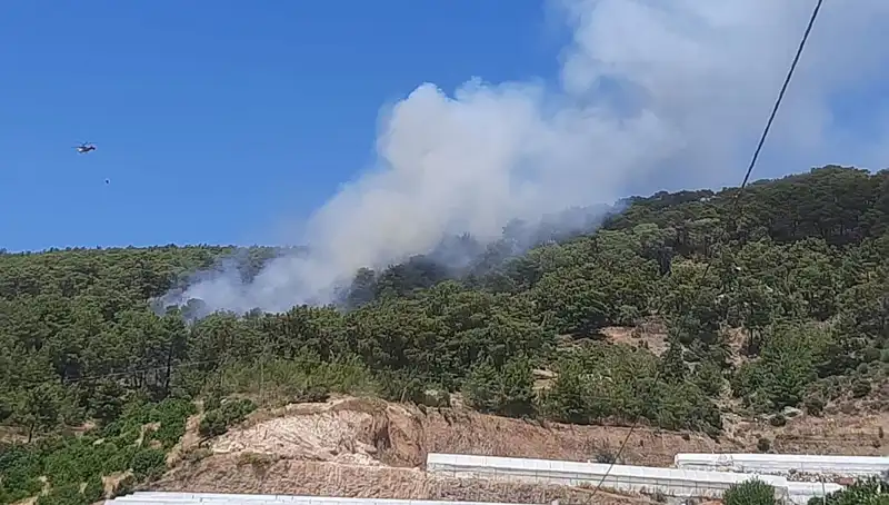 Kumluca'da Patlayan Orman Yangını: Doğa ve Hayat Tehlikede