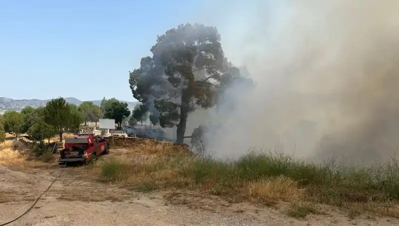 Muğla’da Başlayan Orman Yangını: Alevler Ne Kadar Sürede Kontrol Altına Alındı?