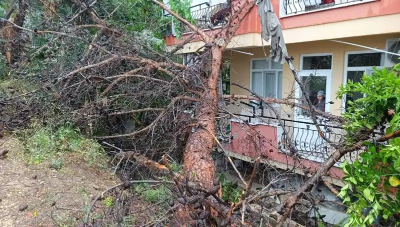 Yağmura Yenik Düşen Bina: Devrilen Binanın Hikayesi