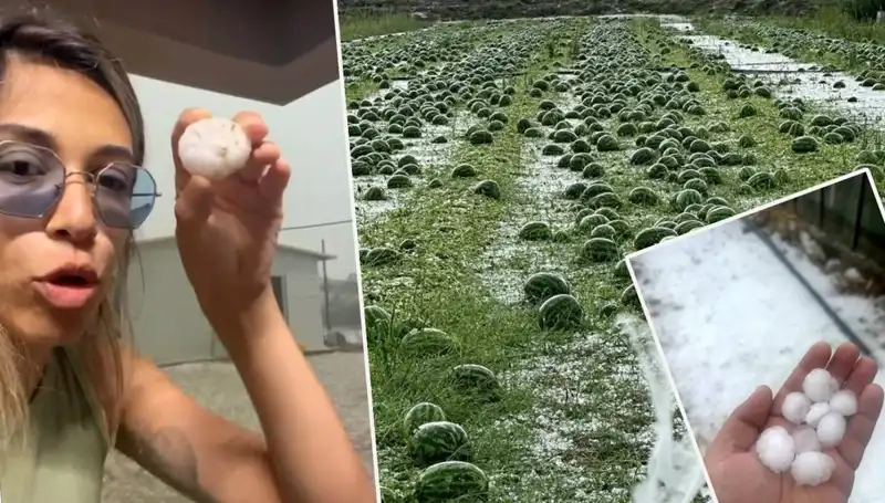 Antalya'da Fırtına ve Dolu Felaketi: Yerel Halkın Gözyaşlarıyla Anlattığı Dram