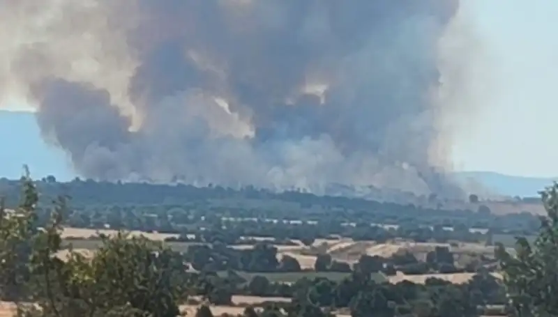 Komşudaki Orman Yangını Edirne'yi Dumana Boğdu: Neler Oluyor?
