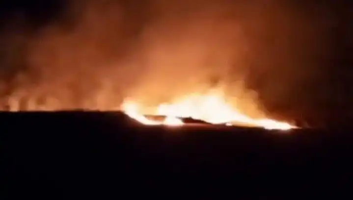 20 Dönüm Alanın Alev Alev Yanması: Doğaya Verilen Zarar!
