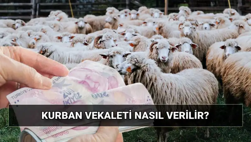 Vekaletle Kurban Kesimi Hakkında Bilmeniz Gerekenler ve 2025 Bedeli