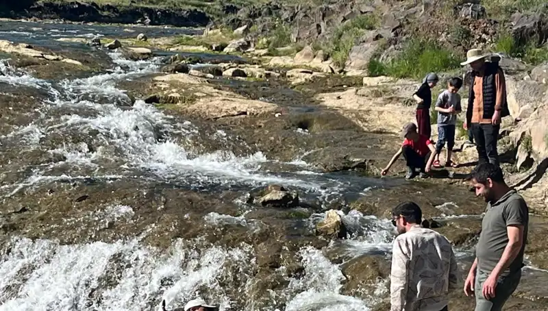 İnci Kefalinin Gizemli Göçü: Doğanın Harikası Turistleri Büyülüyor